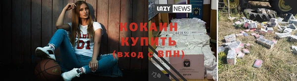 эйфоретик Аркадак