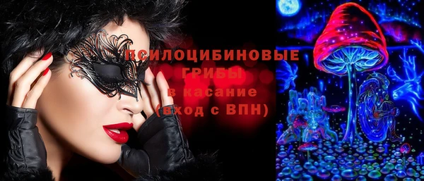 мдпв Армянск